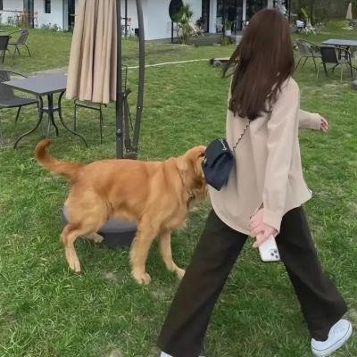 女神异闻录 圣洁之魂